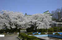 TOYAMA35.JPG (195523 oCg)