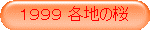 PXXX en̍