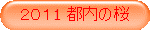 QOP1 s̍