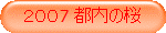 QOO7 s̍